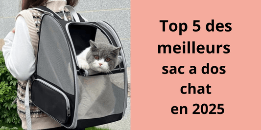 Top 5 des meilleurs sac a dos chat en 2025 - Leschamour