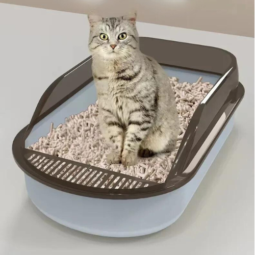 bac-a-litiere-chaton-plastique