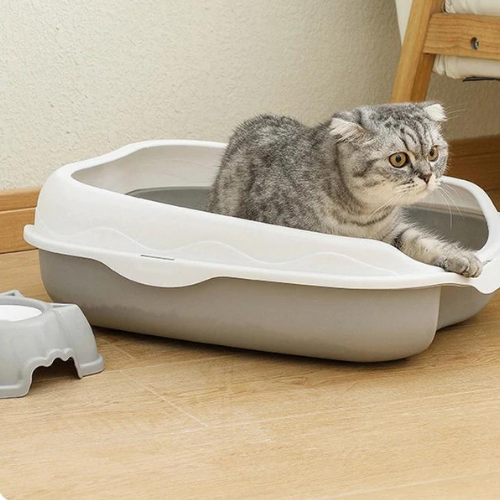 bac_à_litière_chat_économique