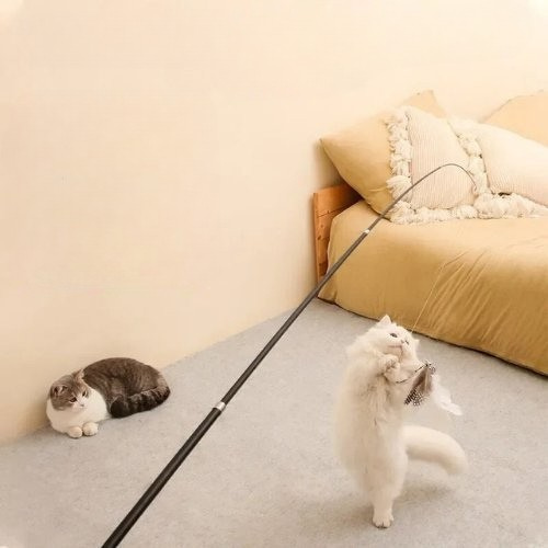 canne-a-peche-chat-plumtoy