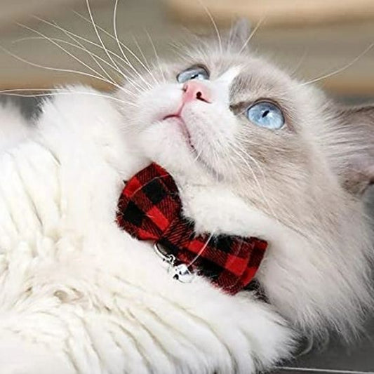 collier-anti-etranglement-pour-chat-rouge