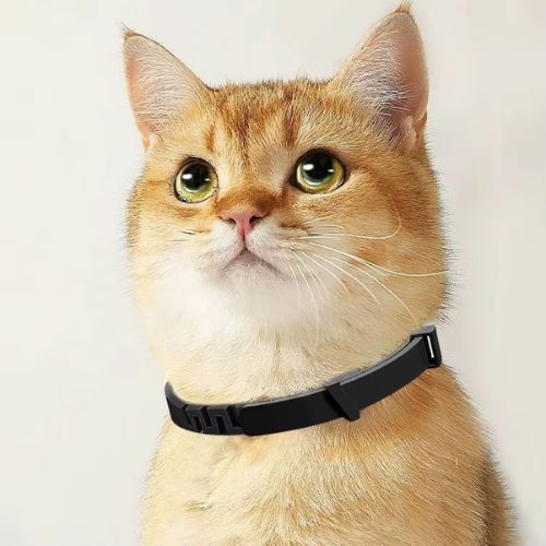 collier-anti-stress-chat-noir