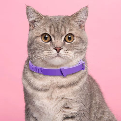 collier-anti-stress-chat-violet