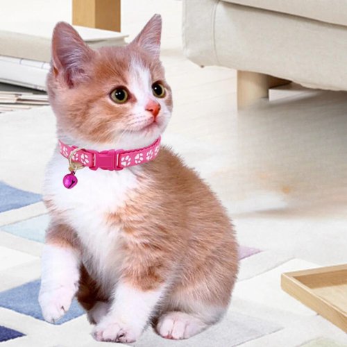 COLLIER CHAT | BEAUTIFULCATâą - Leschamour