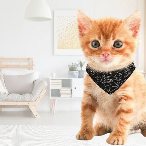 collier-chat-noir
