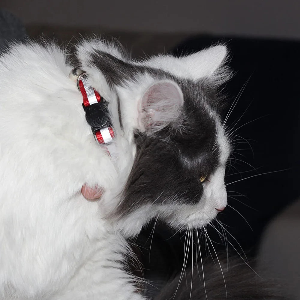 COLLIER CHAT RĂFLĂCHISSANT | CATBELLâą - Leschamour