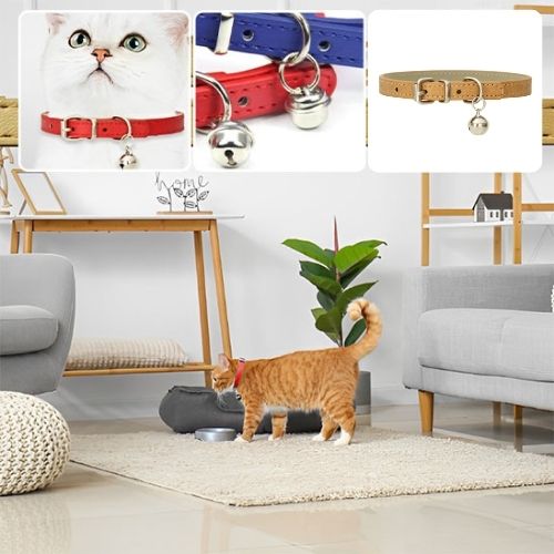 COLLIER POUR CHAT | EN CUIR