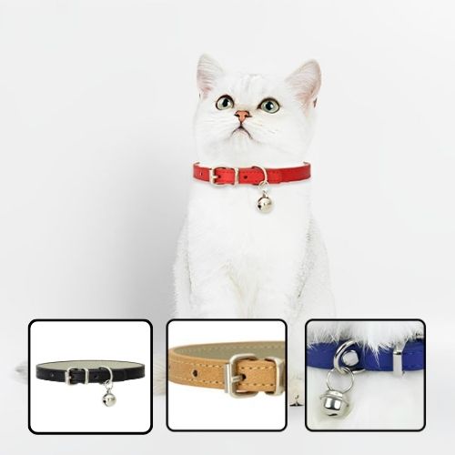COLLIER POUR CHAT | EN CUIR