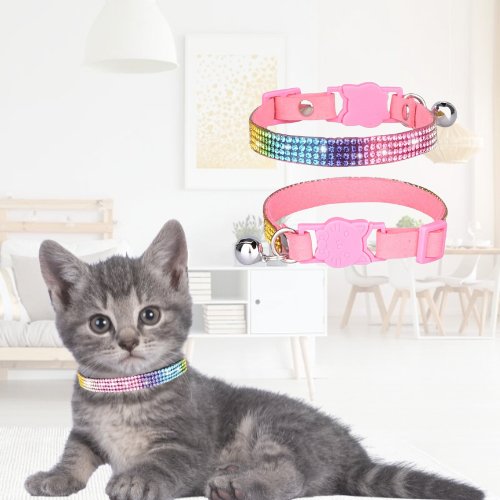 COLLIER POUR CHATONS | COLORCAT™ - Leschamour