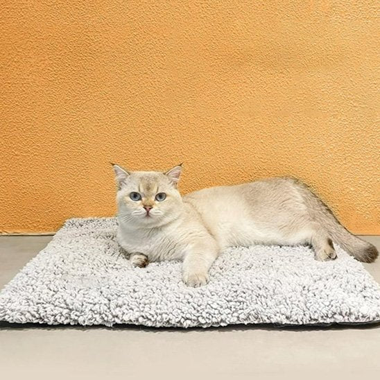 Coussin moelleux chat antidérapant