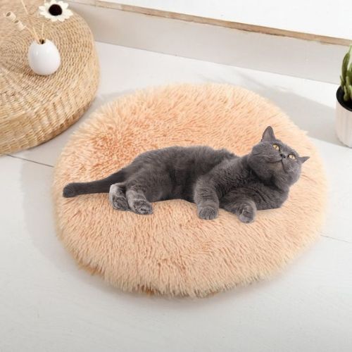 coussin-pour-chat-abricot