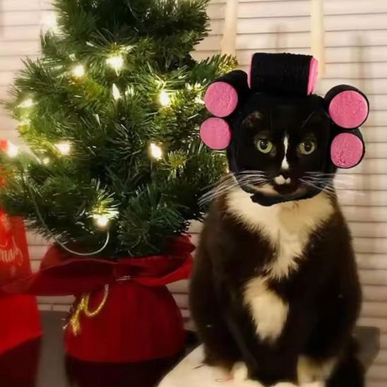 Déguisement-pour-chat-bigoudis-Noël