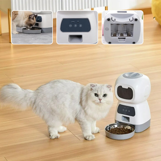 DISTRIBUTEUR AUTOMATIQUE DE CROQUETTES CHAT | INTELLIGENT