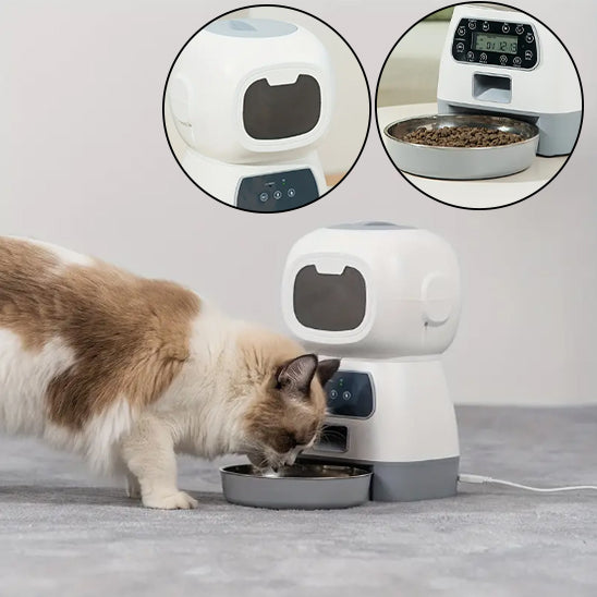 DISTRIBUTEUR AUTOMATIQUE DE CROQUETTES CHAT | INTELLIGENT