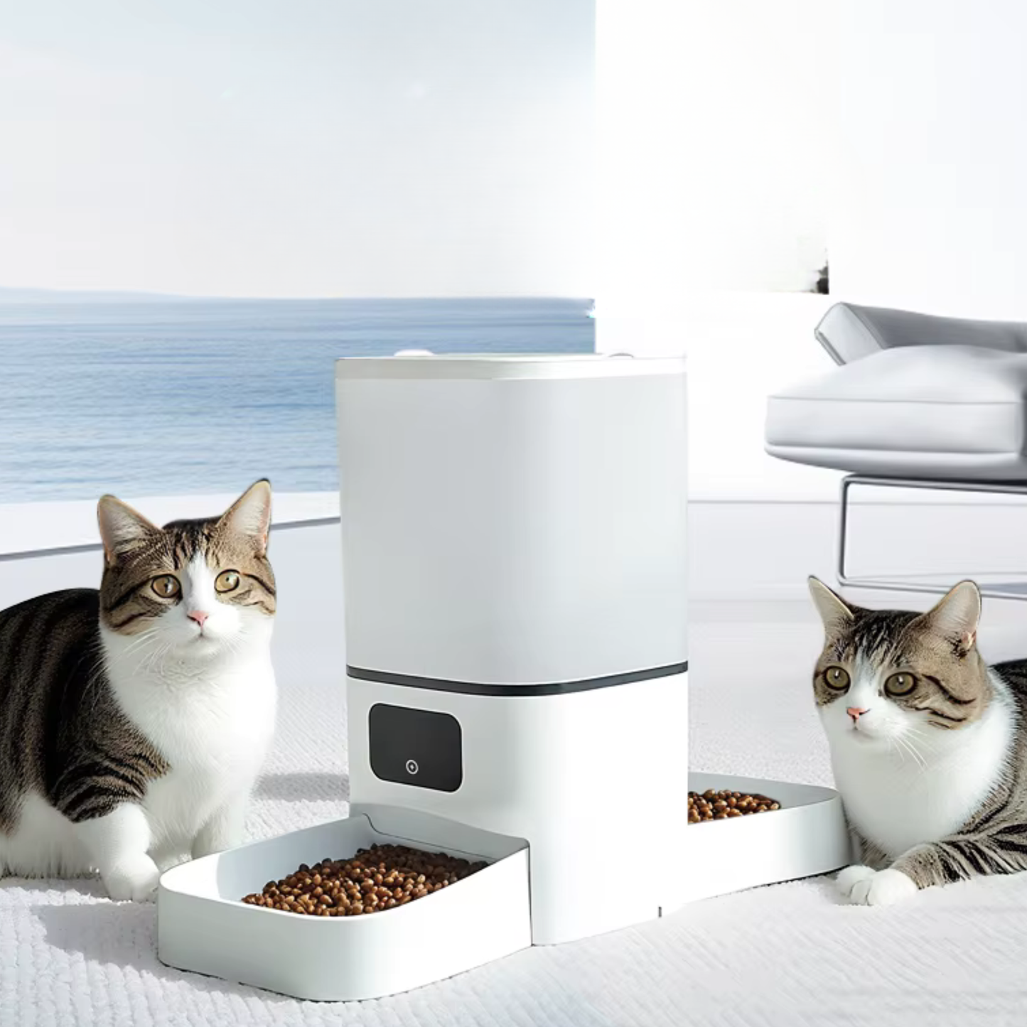 Distributeur croquettes chat programmable double gamelle 6L wifi