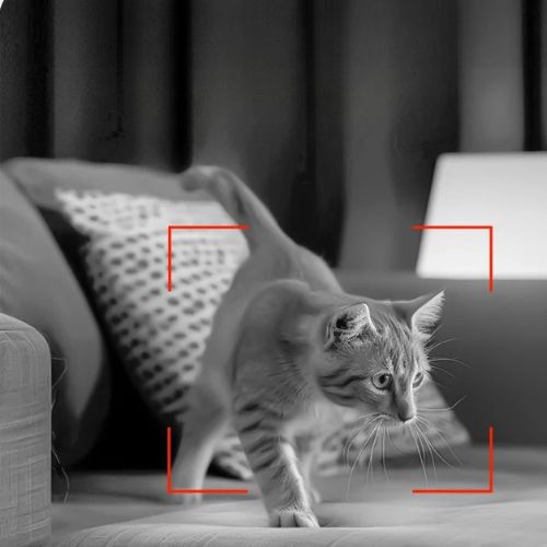 DISTRIBUTEUR DE CROQUETTES AUTOMATIQUE POUR CHAT | AVEC CAMERA - Leschamour