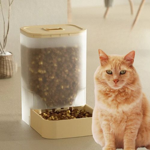 DISTRIBUTEUR DE CROQUETTES CHAT | 2 KG - Leschamour