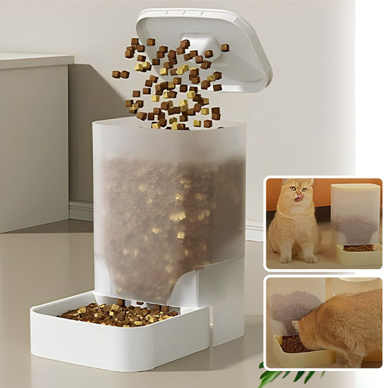 DISTRIBUTEUR DE CROQUETTES CHAT | 2 KG