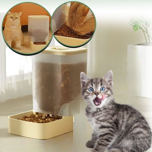 DISTRIBUTEUR DE CROQUETTES CHAT | 2 KG