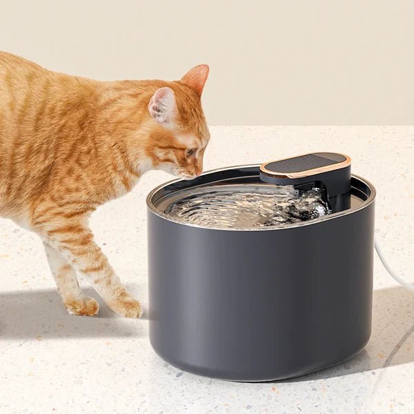 FILTRE FONTAINE A EAU POUR CHAT | 12 FILTRES - Leschamour
