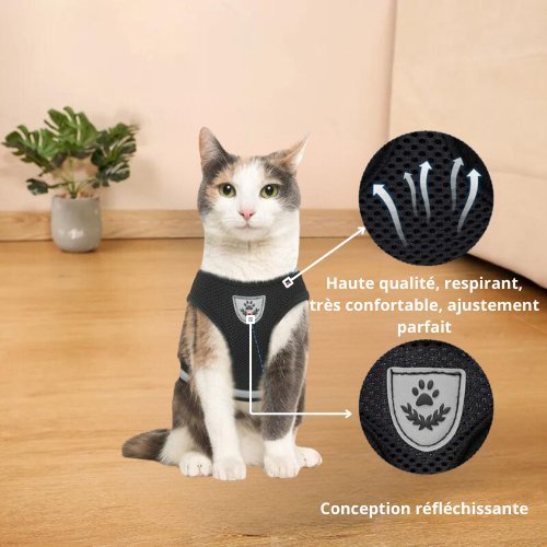 FLASHCAT™ | HARNAIS CHAT RÉFLÉCHISSANT + LAISSE OFFERTE - Leschamour