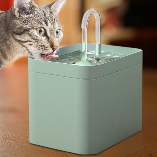 fontaine-a-eau-chat-fontainecat-verte