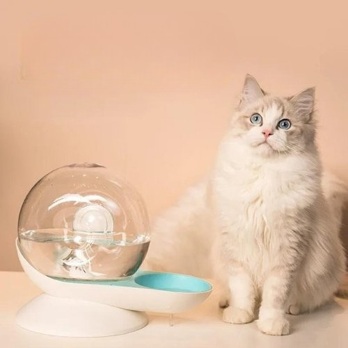 fontaine-a-eau-chat-snailcat-
