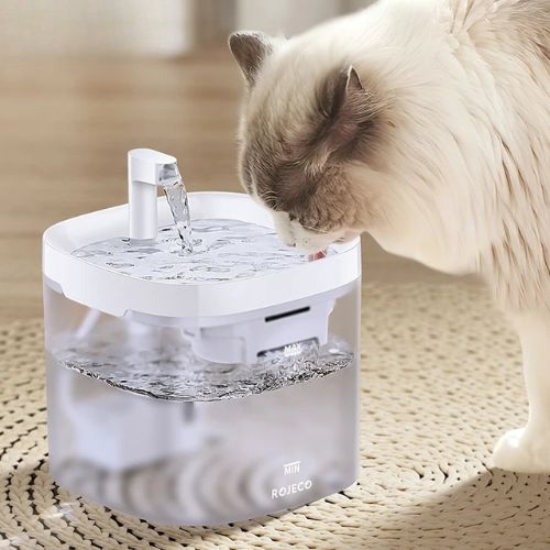 FONTAINE A EAU CHAT | TRANSPARENTE - Leschamour