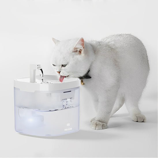 FONTAINE A EAU CHAT | TRANSPARENTE - Leschamour