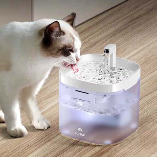 FONTAINE A EAU CHAT | TRANSPARENTE - Leschamour