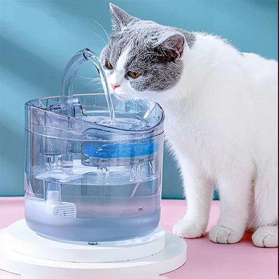 FONTAINE A EAU POUR CHAT | A CAPTEUR DE MOUVEMENT - Leschamour