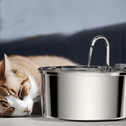 FONTAINE A EAU POUR CHAT | RONDE - Leschamour