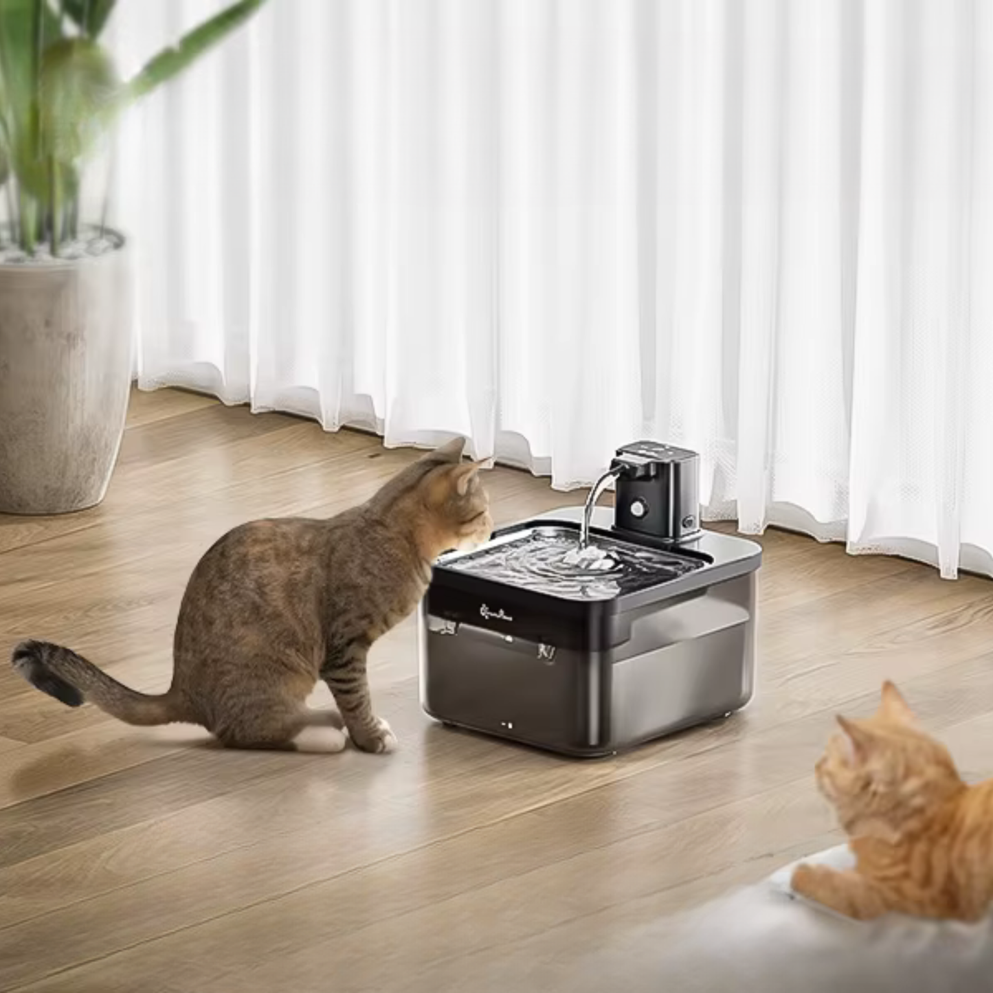fontaine a eau pour chat sans fil rechargeable 2.5L silencieuse