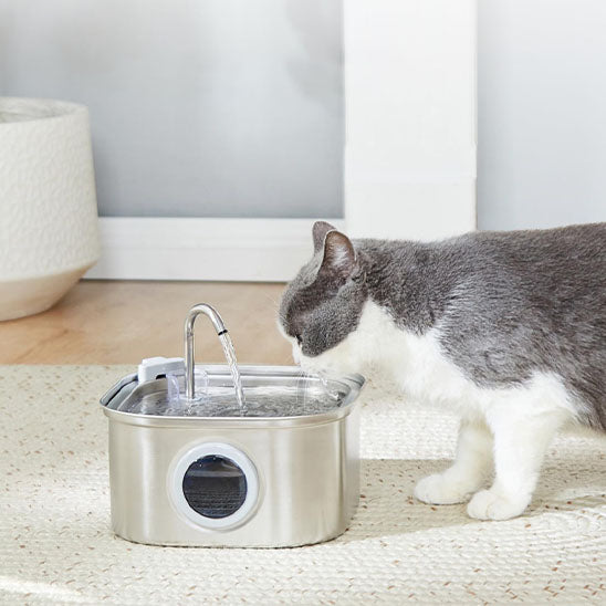 fontaine eau pour chat silencieuse chat qui boit