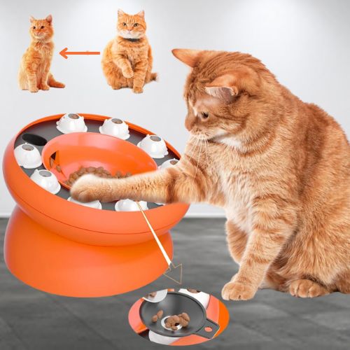 gamelle-anti-glouton-chat-anti-obesite