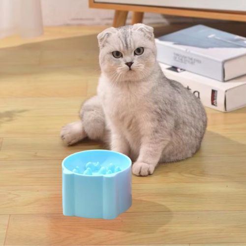 GAMELLE ANTI GLOUTON CHAT | RONDE