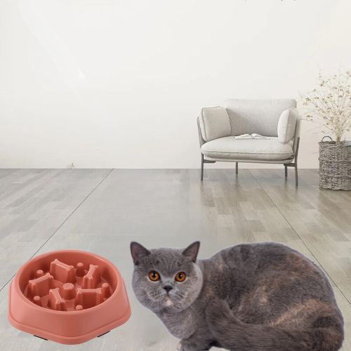 gamelle-anti-glouton-chat-os-marron