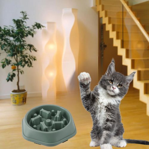 gamelle-anti-glouton-chat-os-verte