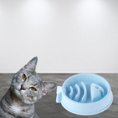 gamelle-anti-glouton-chat-poisson-bleu