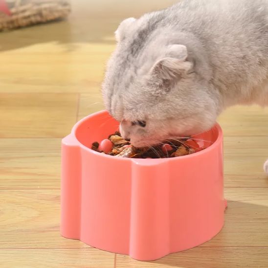 GAMELLE ANTI GLOUTON CHAT | RONDE