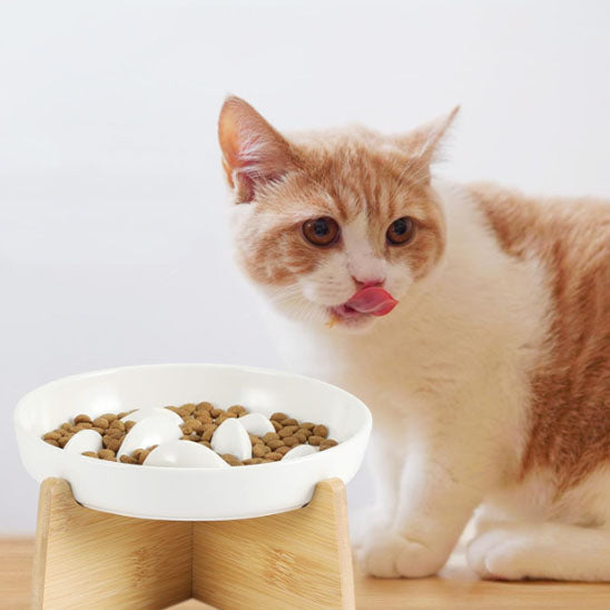 gamelle-anti-glouton-chat-support-bois