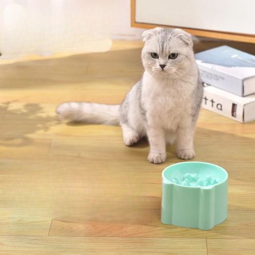 GAMELLE ANTI GLOUTON CHAT | RONDE