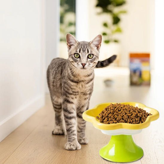 GAMELLE CĂRAMIQUE POUR CHAT | MOTIF FLORAL - Leschamour