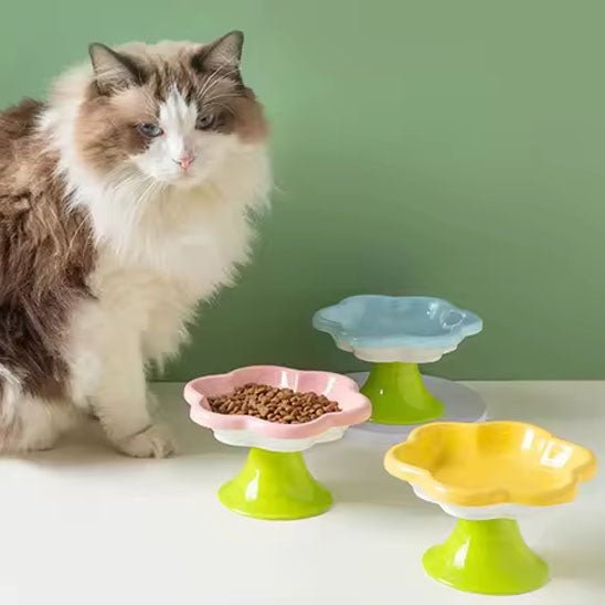 GAMELLE CĂRAMIQUE POUR CHAT | MOTIF FLORAL - Leschamour
