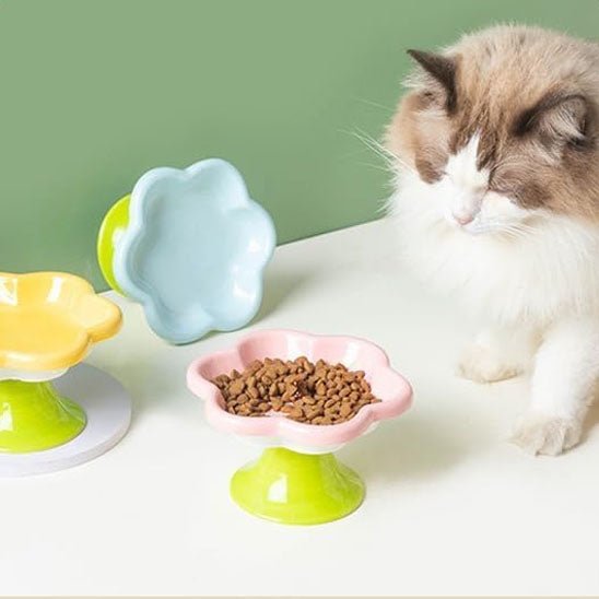 GAMELLE CĂRAMIQUE POUR CHAT | MOTIF FLORAL - Leschamour