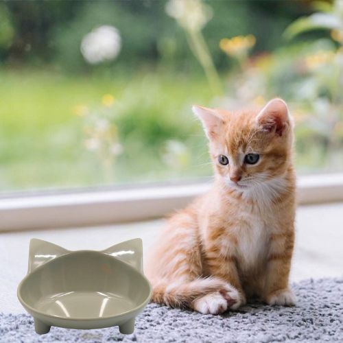 GAMELLE CHAT | ANTIDĂRAPANTE - Leschamour