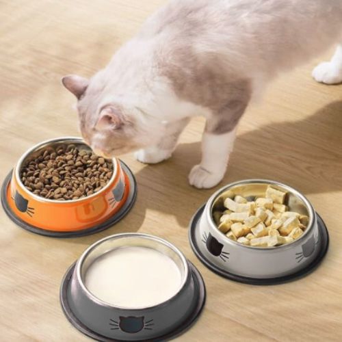 GAMELLE CHAT | EN ACIER INOXYDABLE ET ANTIDERAPANTE - Leschamour