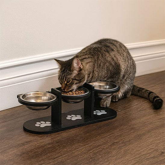 Gamelle chat inclinée ergonomique