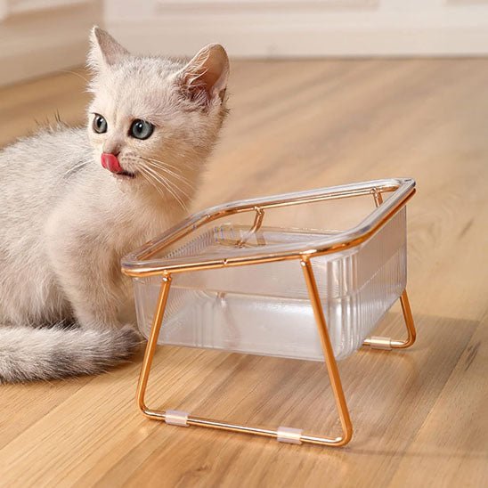 GAMELLE CHAT SURÉLEVÉE | SUR PIEDS TRANSPARENTE - Leschamour