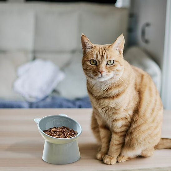 GAMELLE POUR CHAT | ANTI ĂTOUFFEMENT - Leschamour
